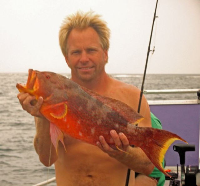 Abrolhos Coronation Trout Abrolhos Coronation Trout